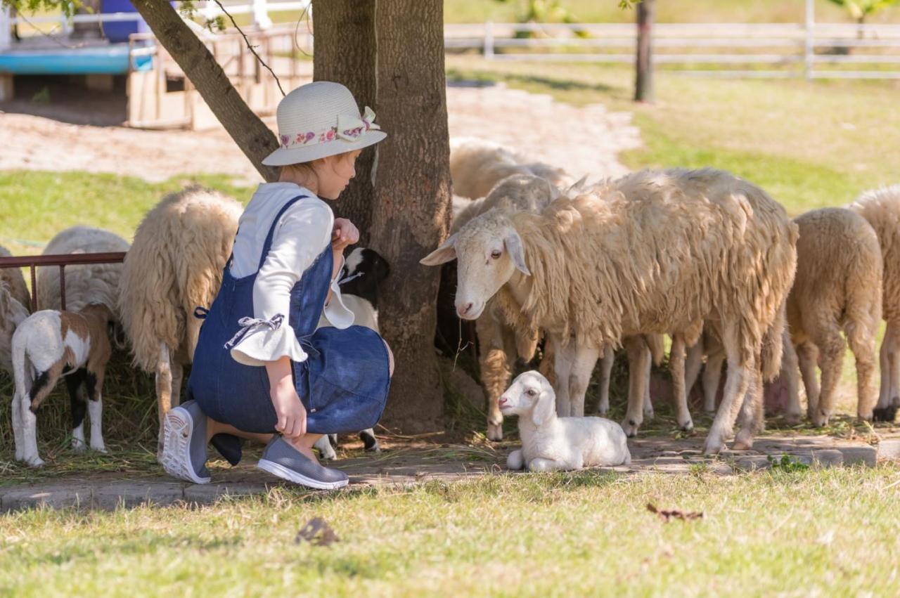 Oon Valley Farm Stay สันกำแพง ภายนอก รูปภาพ